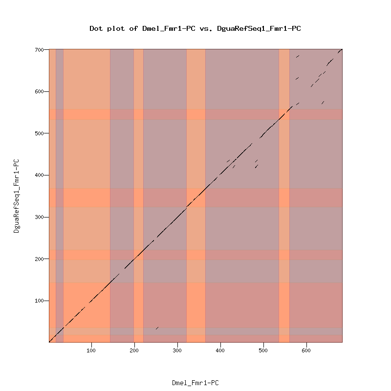 Sydney sweeney jeans